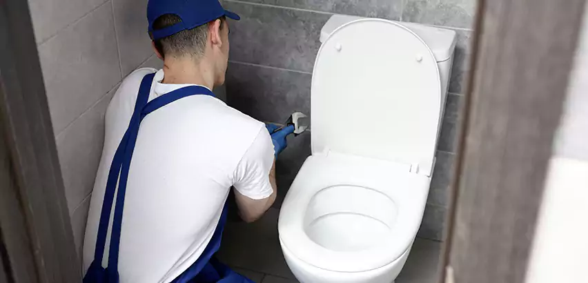 Toilet Lid Replacement in Pontiac